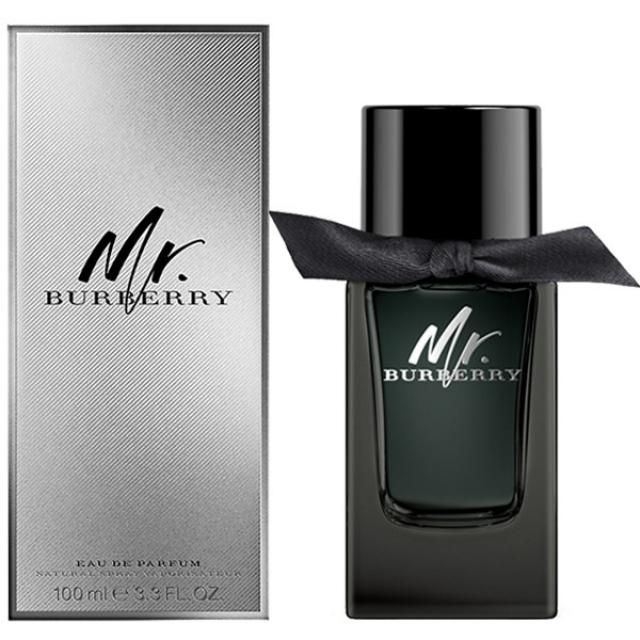 Burberry MR.BURBERRY Eau de Parfum 100ml edp